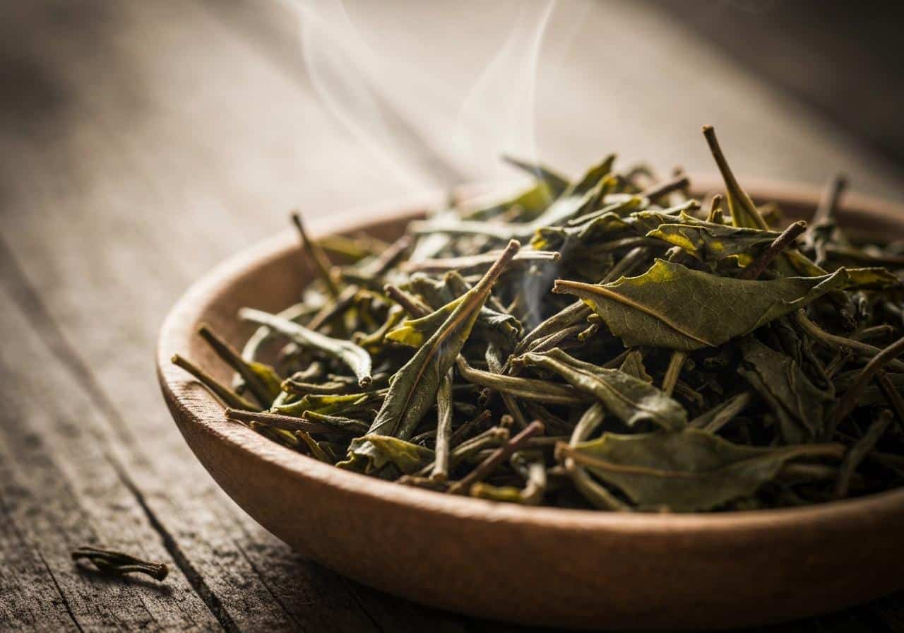 Feuilles de théier Camellia sinensis séchées en vrac